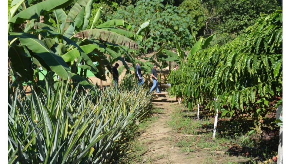 Vitrine Tecnológica reforça produção sustentável na agricultura familiar na Rondônia Rural Show