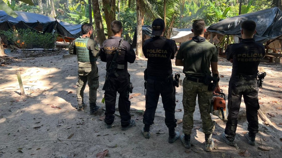 Operação Setembro Verde: PF e Ibama combatem crimes ambientais na Terra Indígena Sete de Setembro