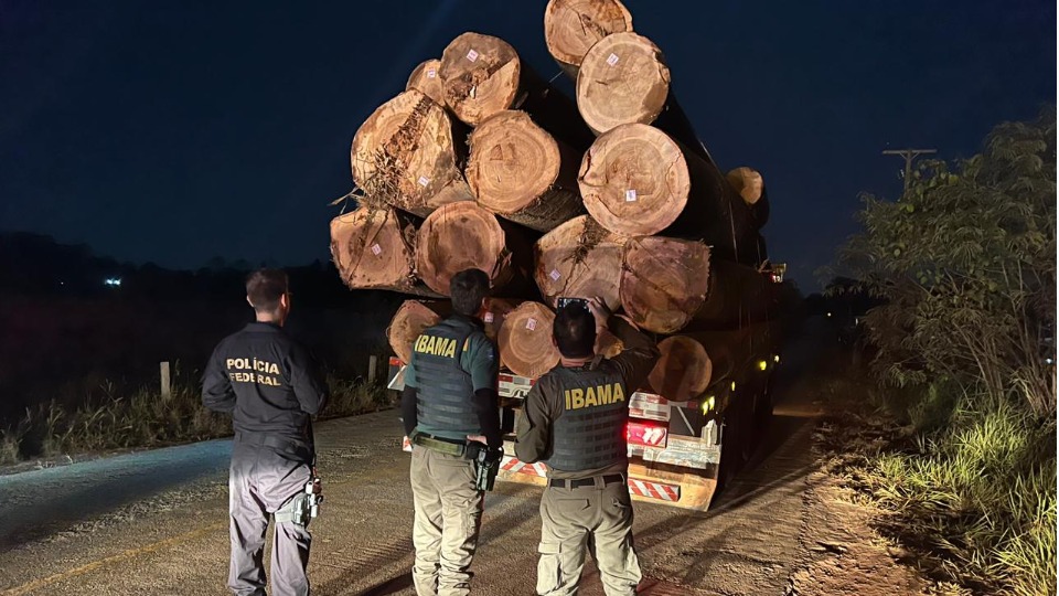 Operação Setembro Verde: PF e Ibama combatem crimes ambientais na Terra Indígena Sete de Setembro