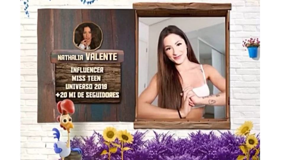 Imagem da Galeria