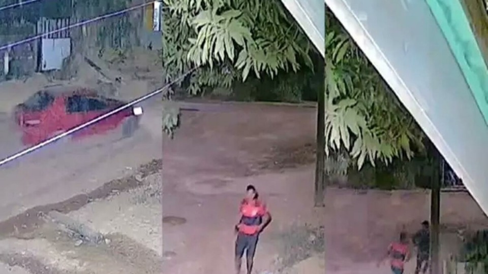 Notícia Relacionada