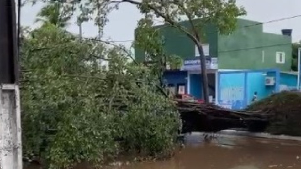 Chuva de granizo é registrada em Porto Velho; veja o vídeo