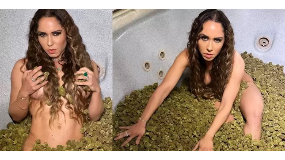 Imagem de Capa