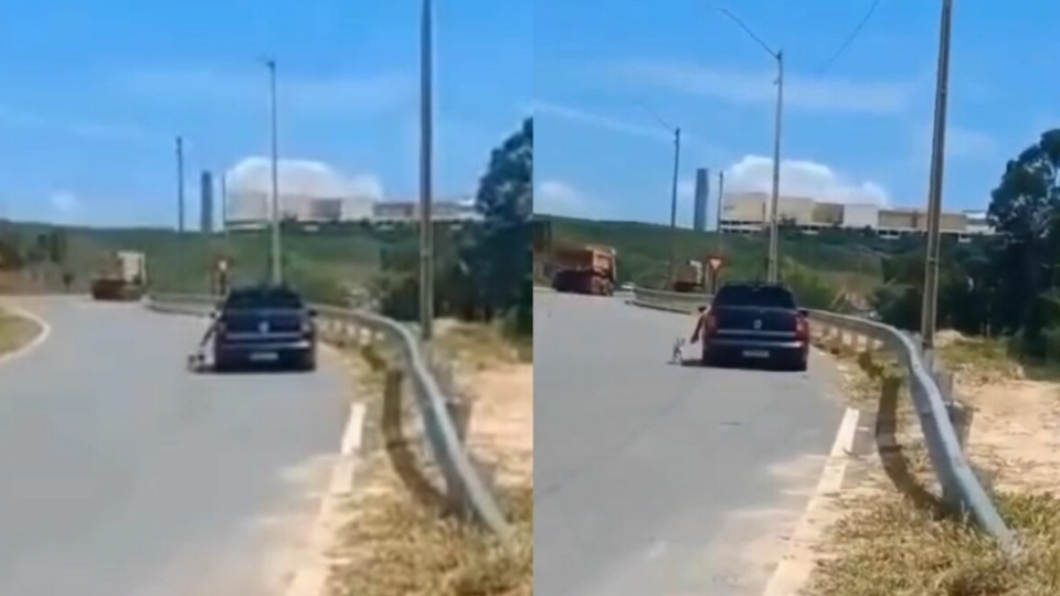 Notícia Relacionada