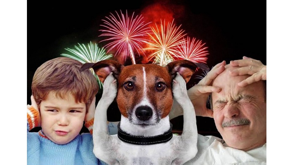 Fogos de artifício podem causar danos a crianças, idosos,autistas e animais