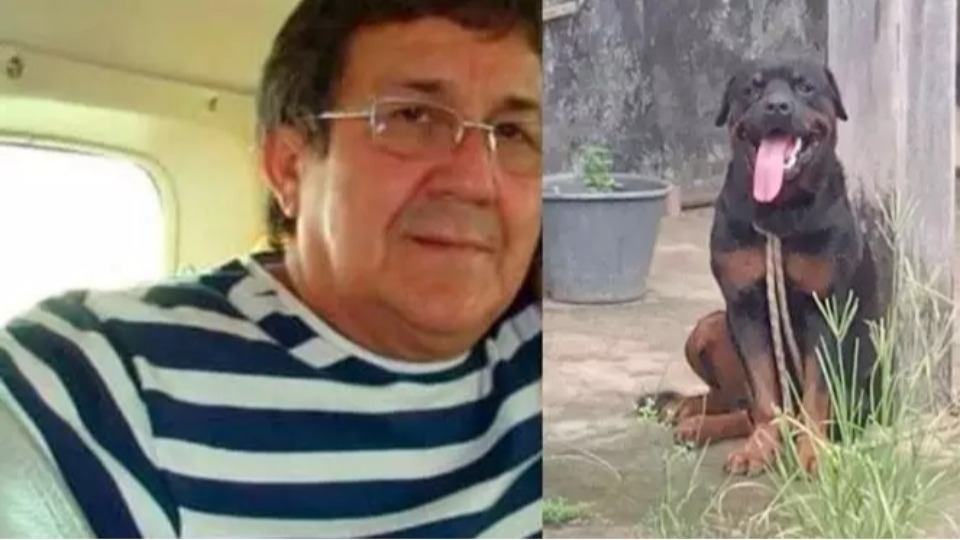 Imagem de Capa