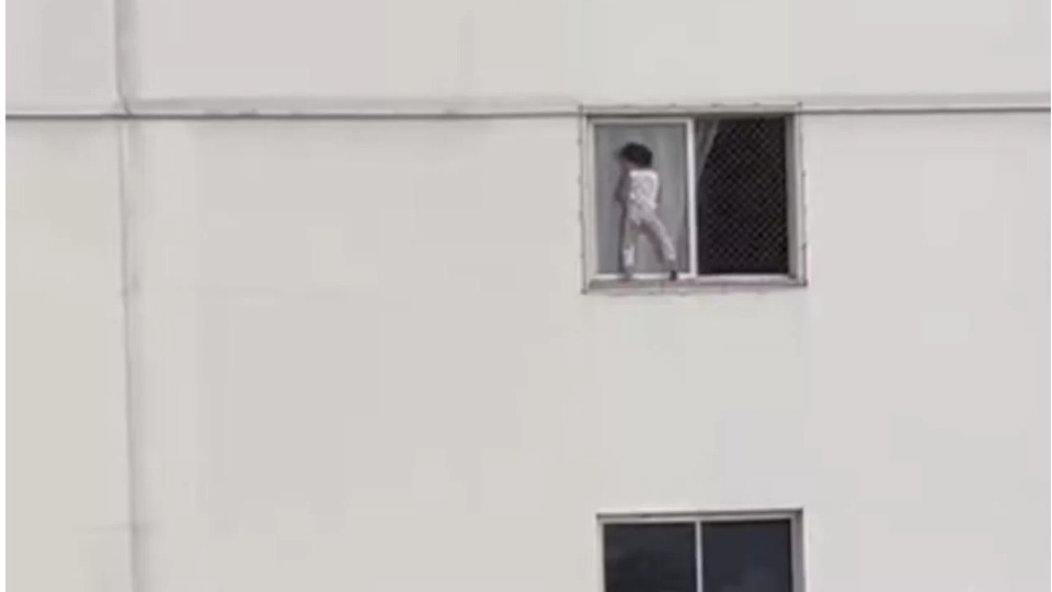 Notícia Relacionada