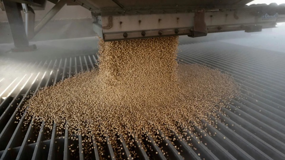 Notícia Relacionada