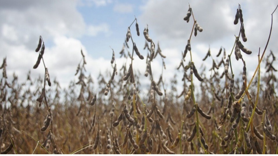 Notícia Relacionada