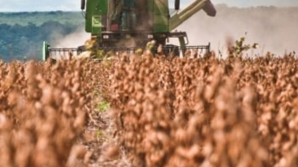 Notícia Relacionada