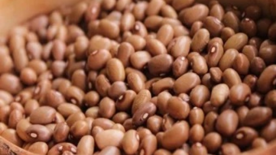 Notícia Relacionada