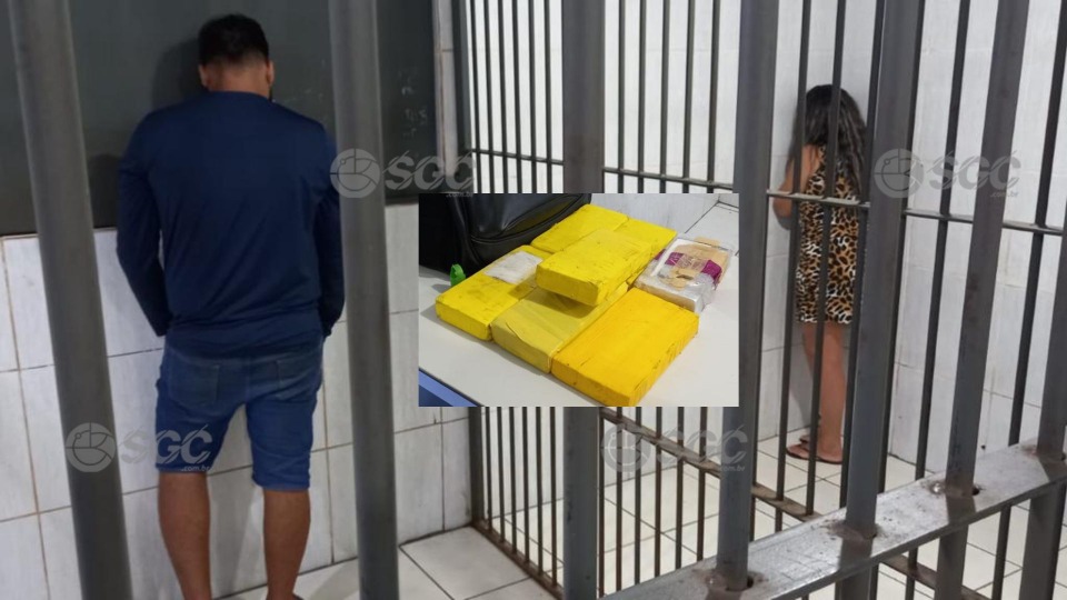 Notícia Relacionada