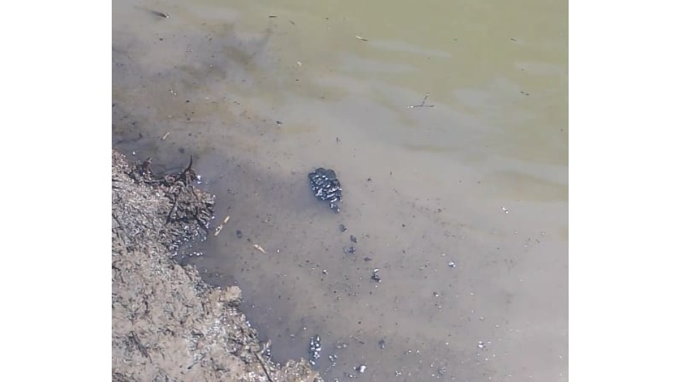 Contaminação por óleo de explosões em balsas prejudica moradores do Baixo Madeira em Cavalcante 