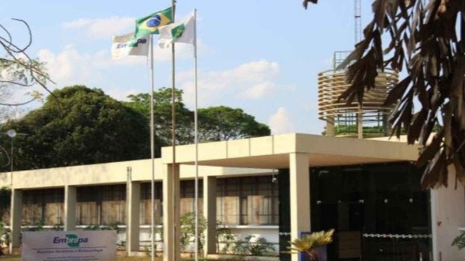 Imagem de Capa