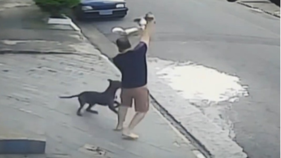 Imagem de Capa