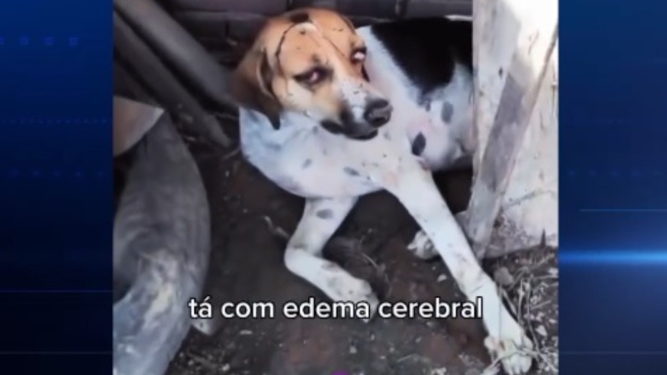 Imagem Editoria