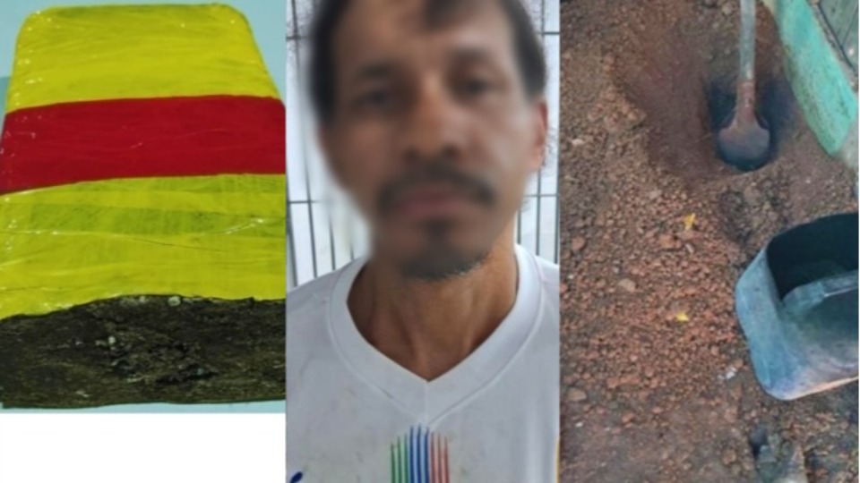 Imagem de Capa