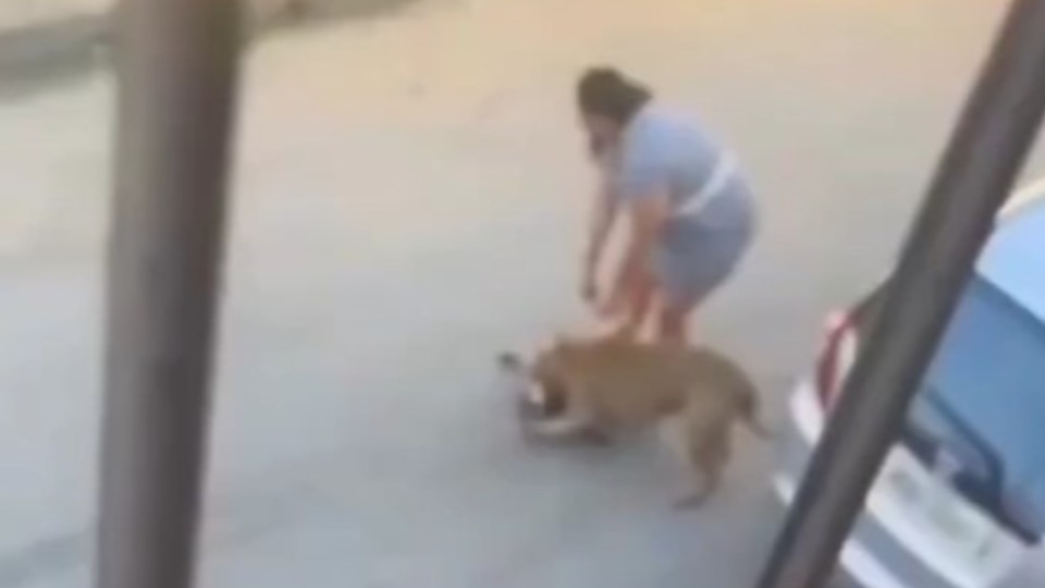 Imagem Últimas Notícias