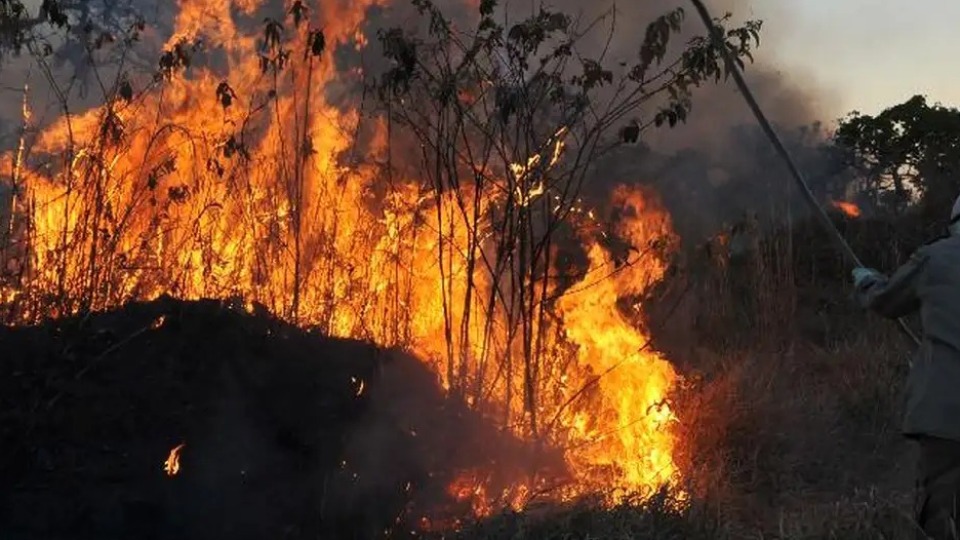 Imagem de Capa