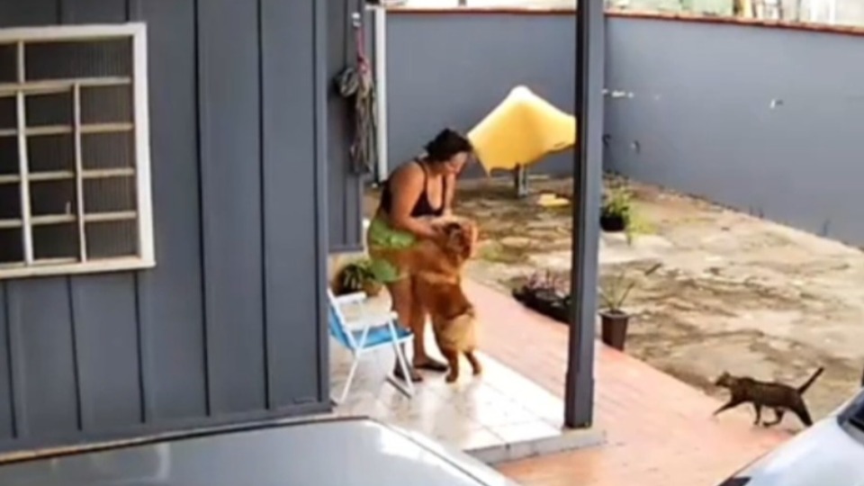 Imagem de Capa