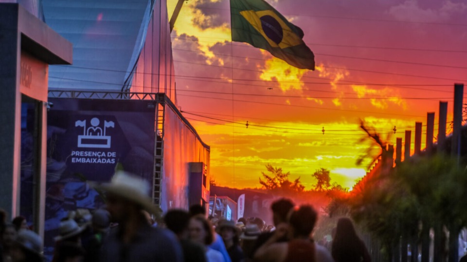 Imagem da Galeria