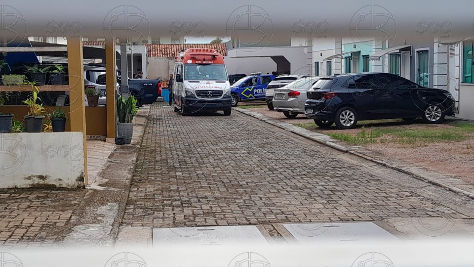 Imagem da Galeria