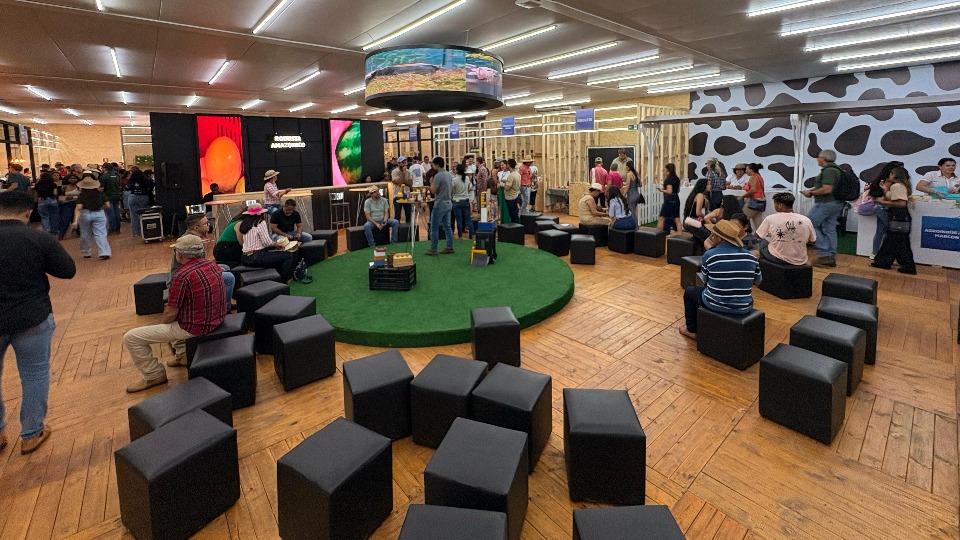 Imagem da Galeria