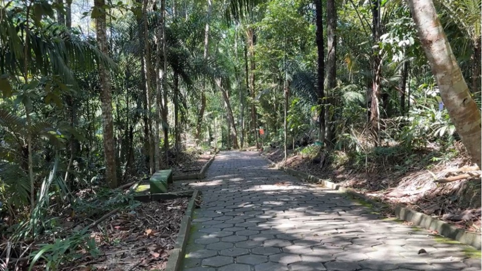 Imagem de Capa
