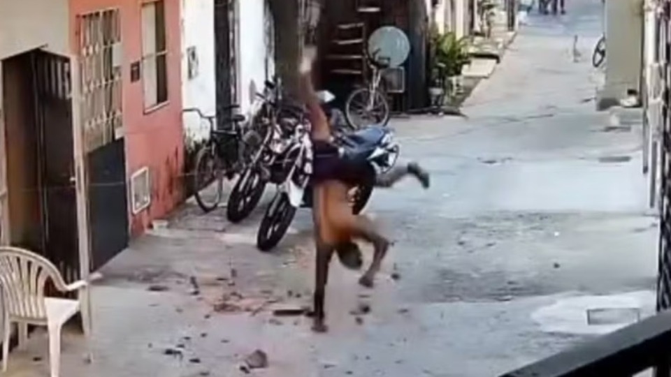 Imagem Últimas Notícias