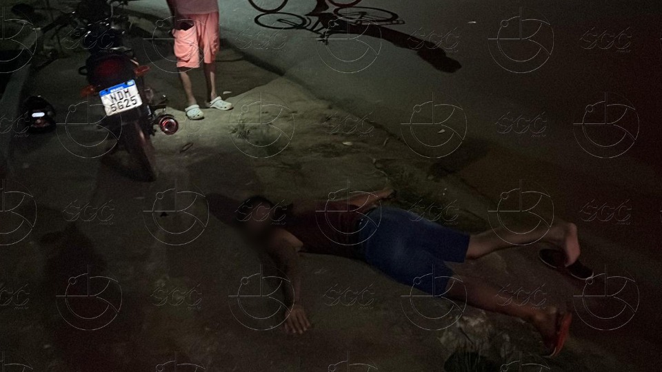 Imagem da Galeria