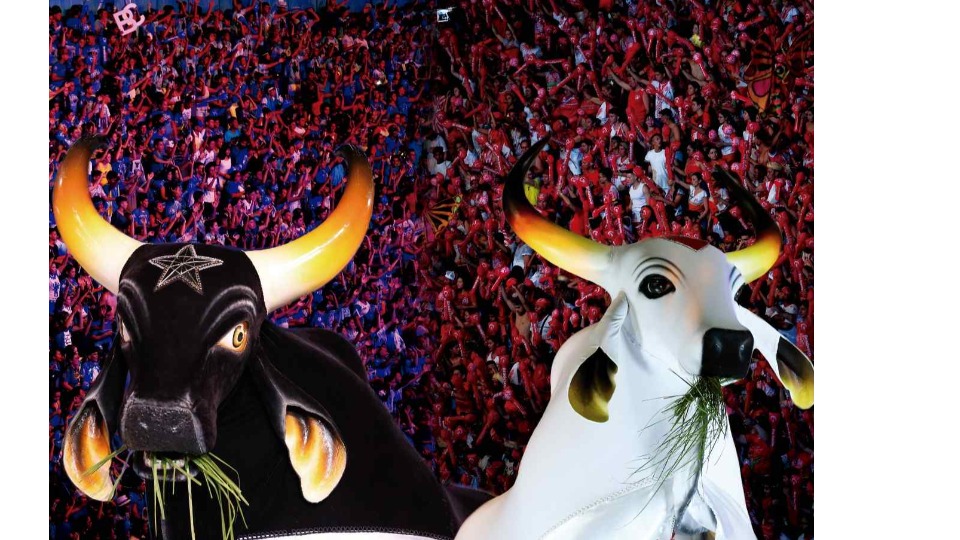 Imagem Editoria