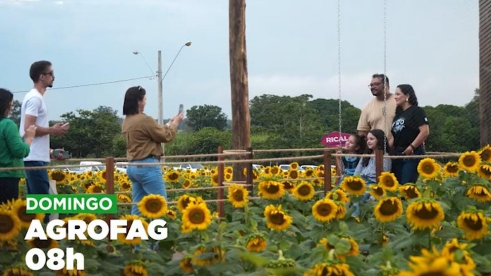 Imagem Últimas Notícias