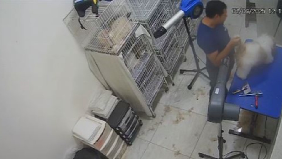 Imagem de Capa