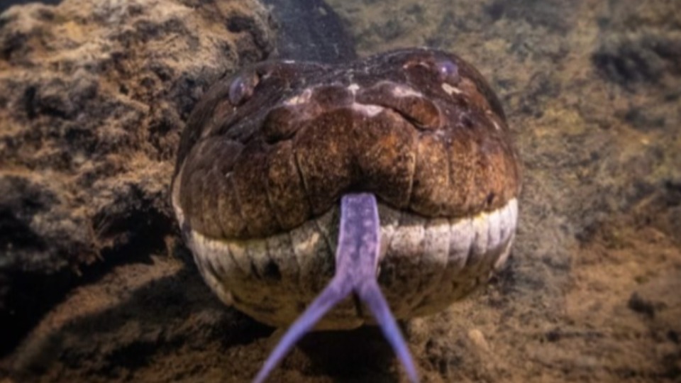 Imagem Últimas Notícias