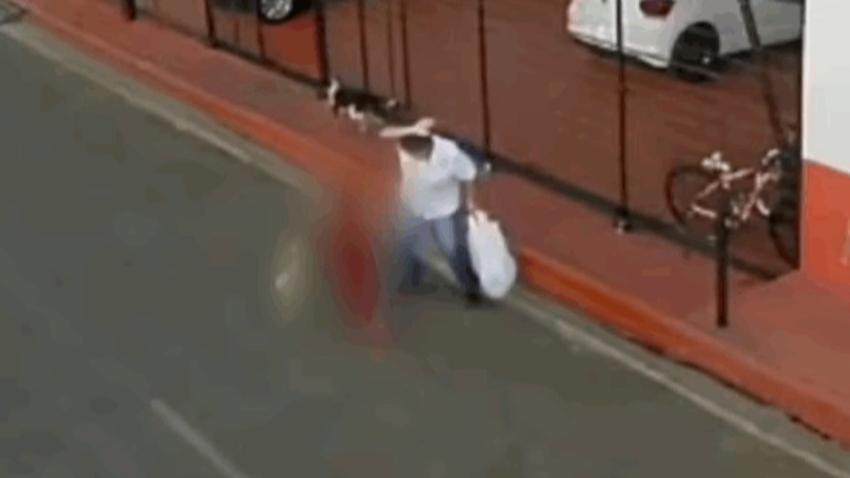 Imagem Últimas Notícias