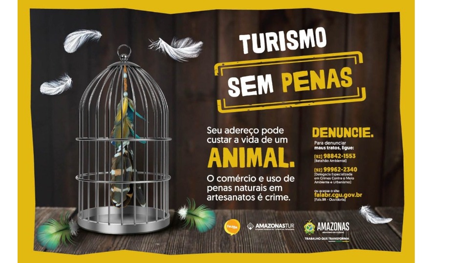 Imagem de Capa