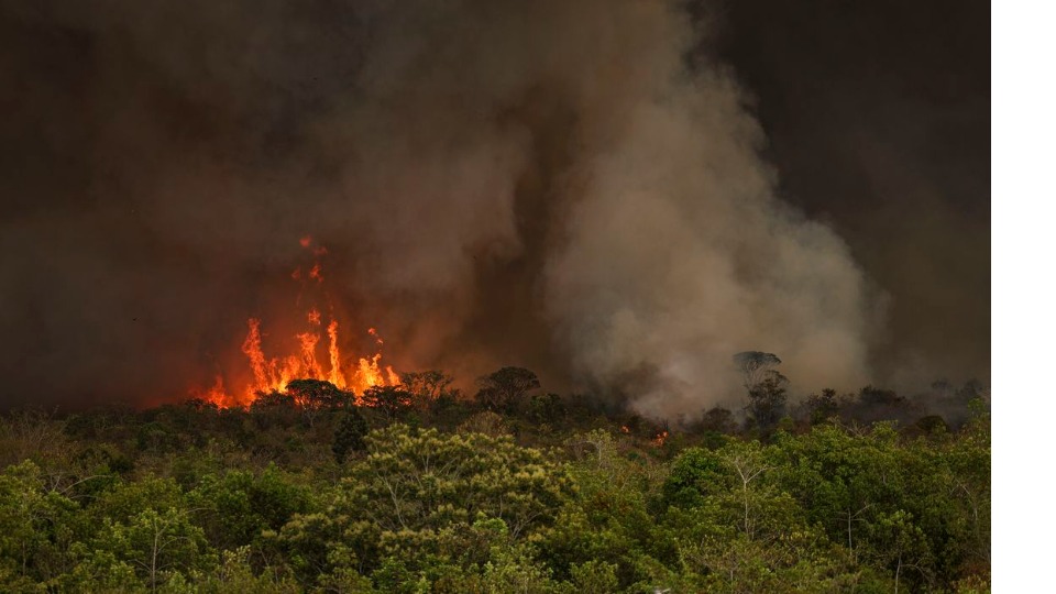 Imagem de Capa