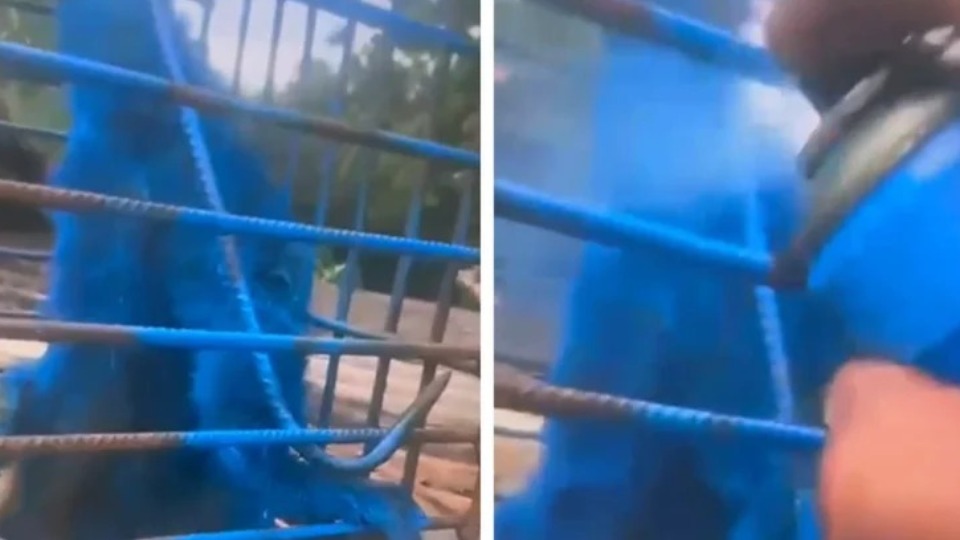 Imagem Últimas Notícias