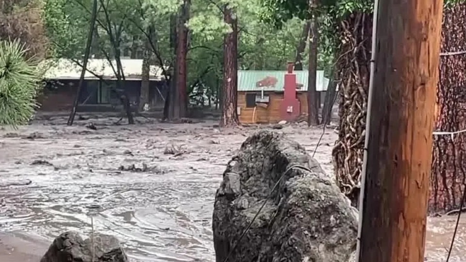 Imagem de Capa