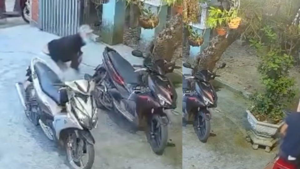 Imagem Últimas Notícias