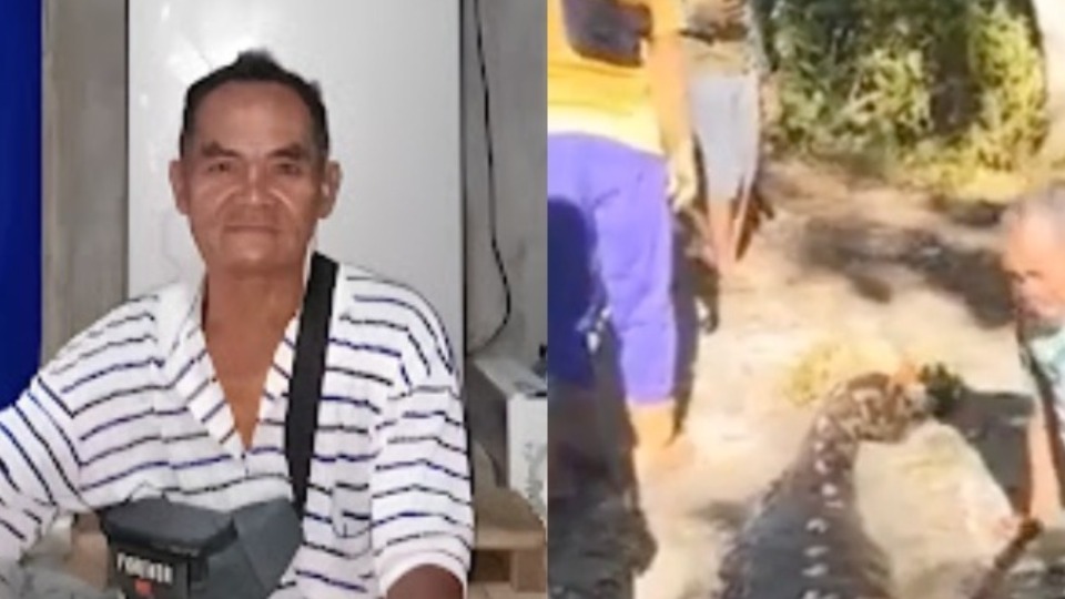 Imagem Últimas Notícias