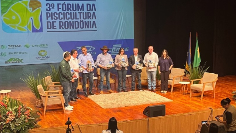 Imagem de Capa