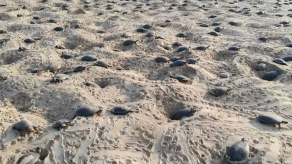 Imagem Últimas Notícias