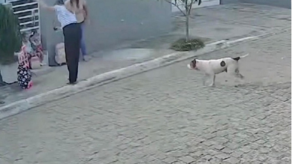 Imagem Últimas Notícias