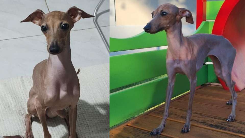 Imagem Últimas Notícias