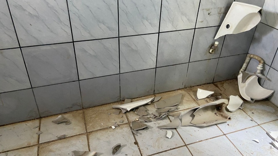 Imagem da Galeria