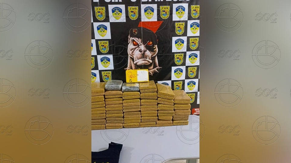 Imagem da Galeria