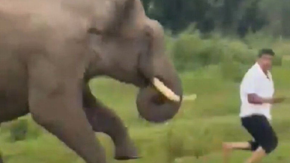 Imagem Últimas Notícias