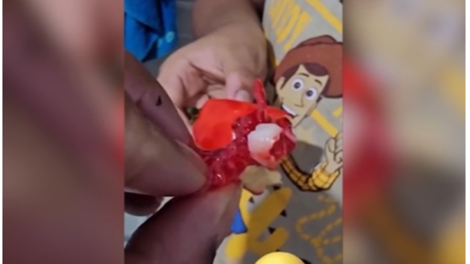 Imagem Últimas Notícias