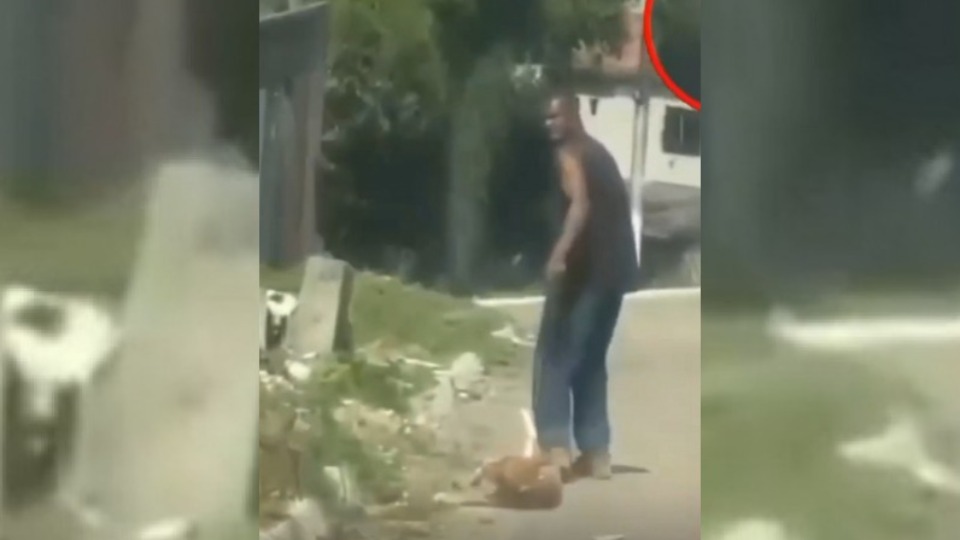 Imagem Últimas Notícias